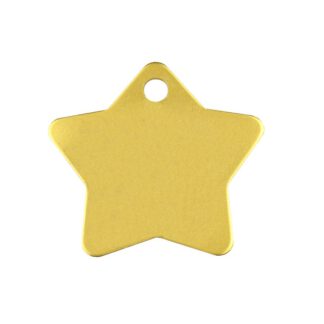 Kattenpenning ster (groot)